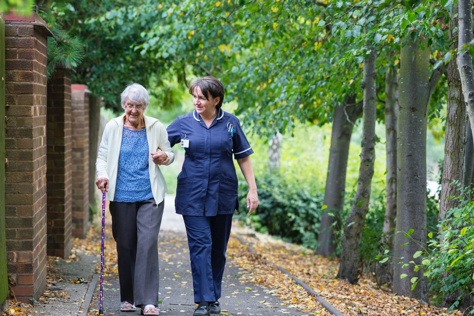 Exercises for the elderly