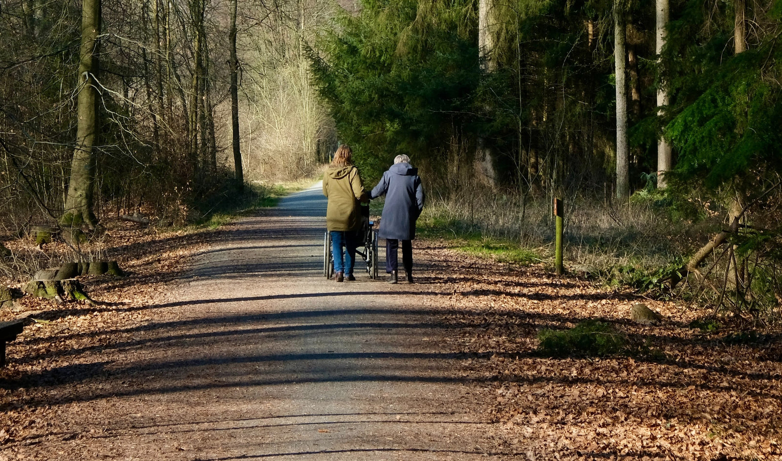 11 Wheelchair-friendly walks in Yorkshire