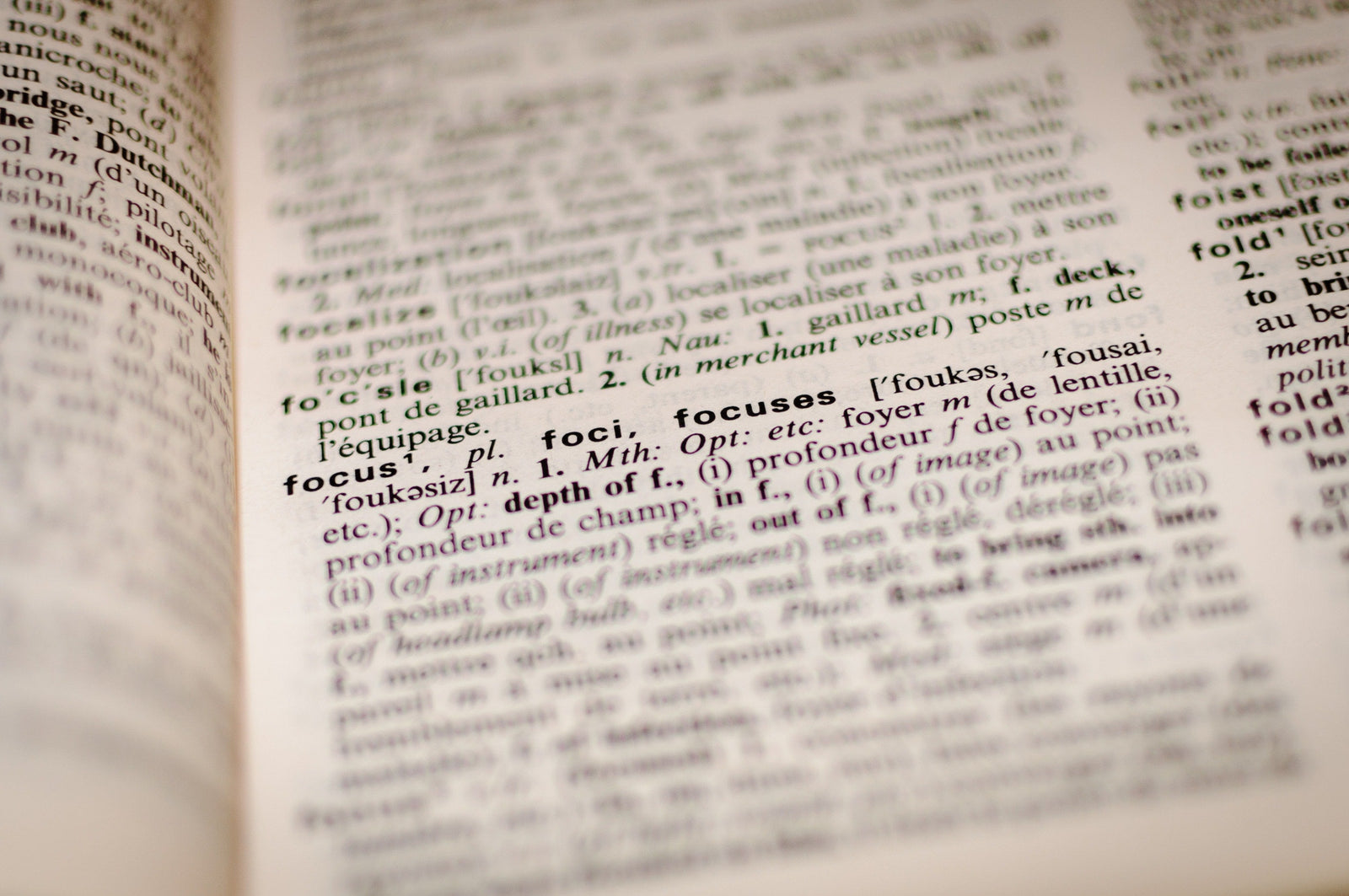 diary definition focus