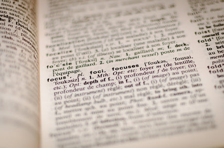 diary definition focus