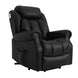 Hainworth Dual Motor Rise and Recliner Chair with Heat and Massage-Black