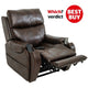 Fenetic Atlas riser recliner chair