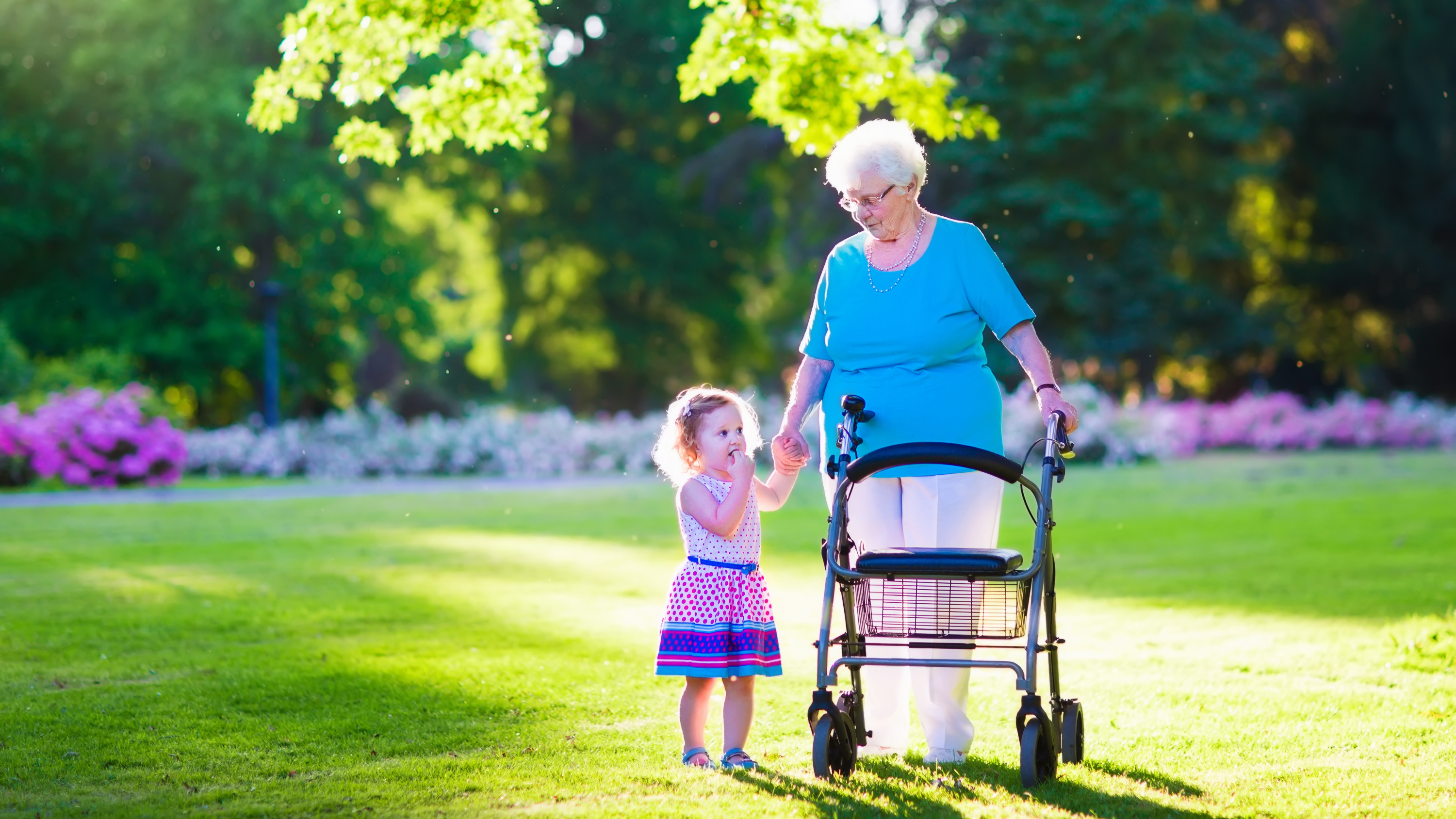 Our guide to rollator walkers